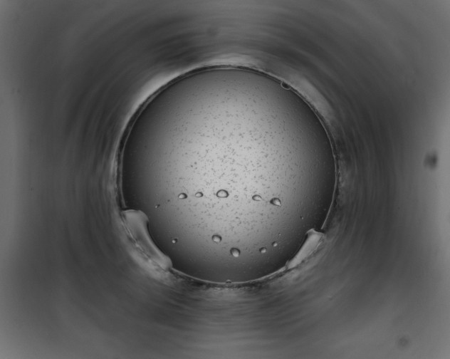 X0000101431044200807141236