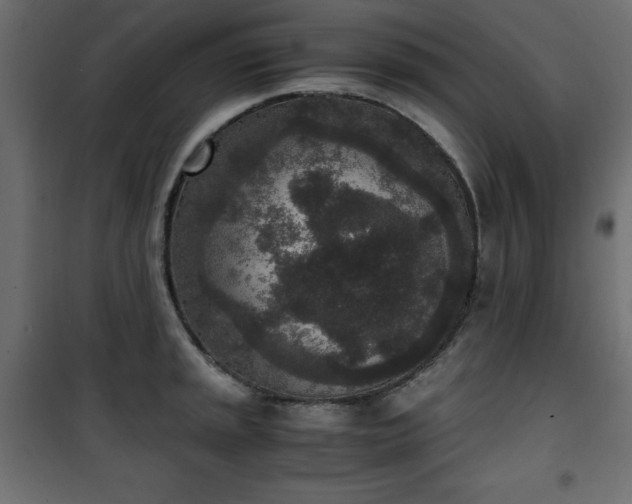 X0000101431045200807141237