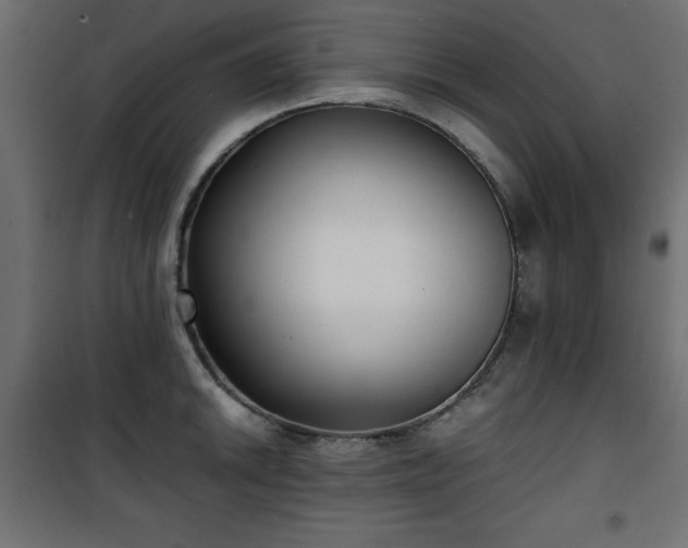X0000101431046200807141237