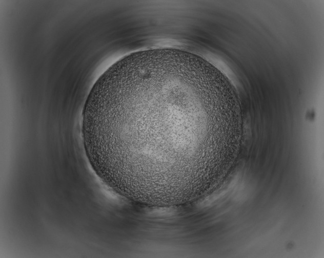 X0000101431047200807141237