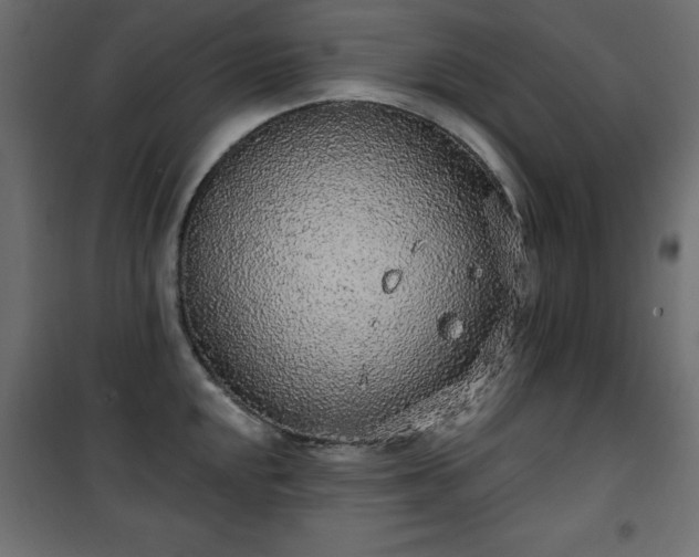 X0000101431048200807141237
