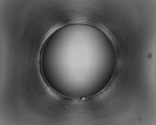 X0000101431050200807141237