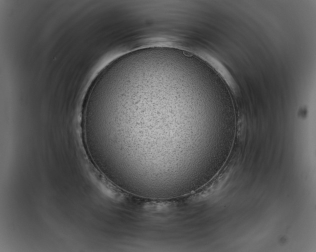 X0000101431051200807141237
