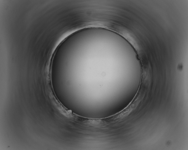X0000101431052200807141237