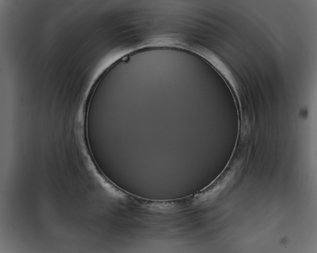 X0000101431053200807141237