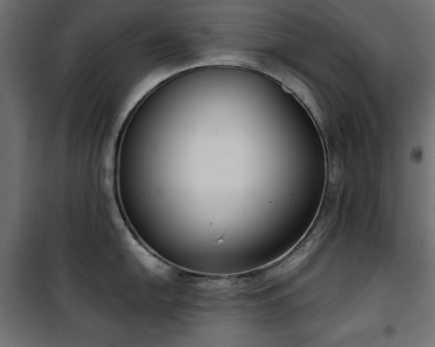 X0000101431054200807141237