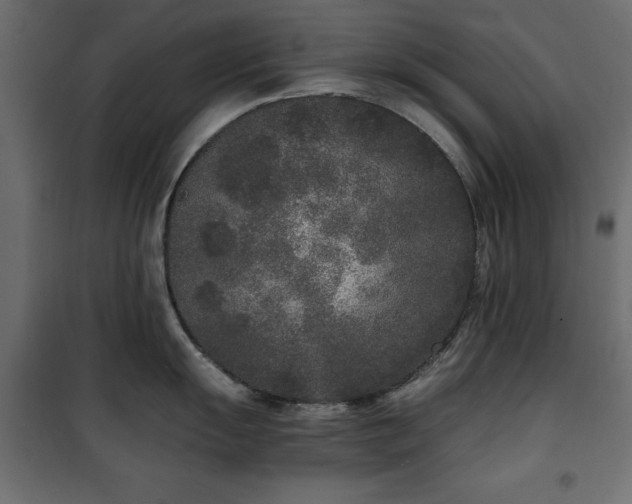 X0000101431055200807141237