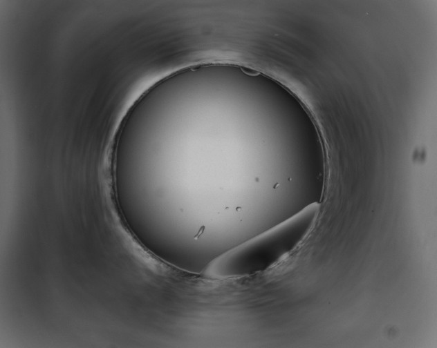 X0000101431056200807141237