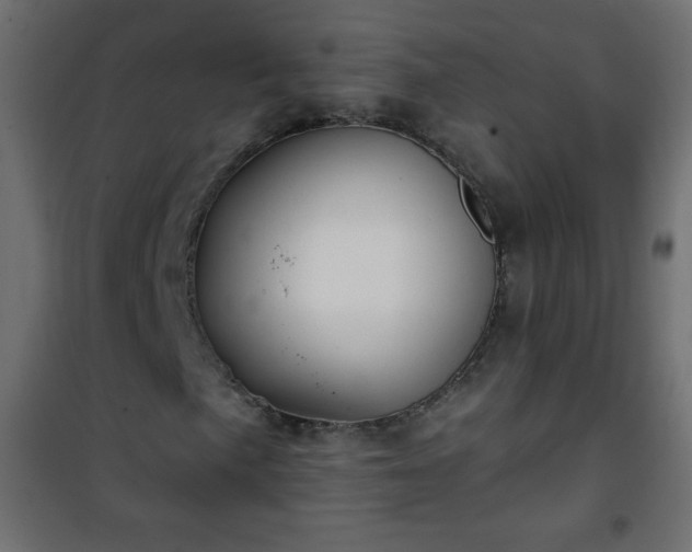X0000101431057200807141236