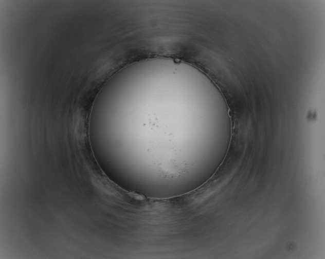 X0000101431058200807141236