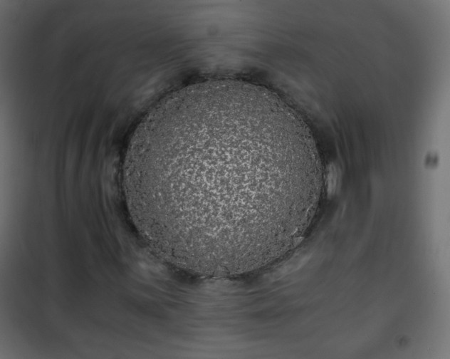 X0000101431059200807141236
