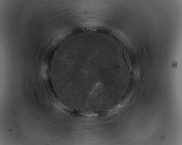 X0000101431060200807141236