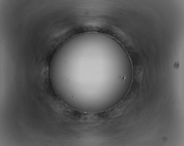 X0000101431061200807141236