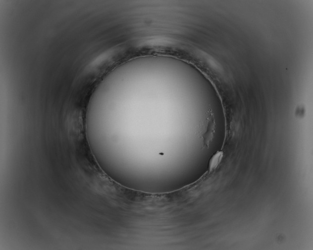 X0000101431062200807141236