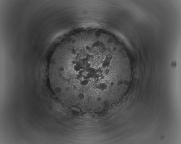 X0000101431063200807141236
