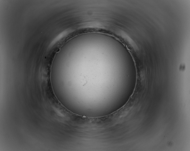 X0000101431064200807141236