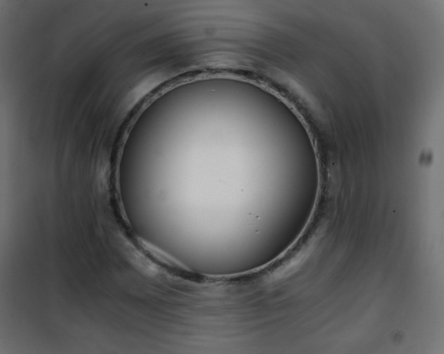 X0000101431065200807141236