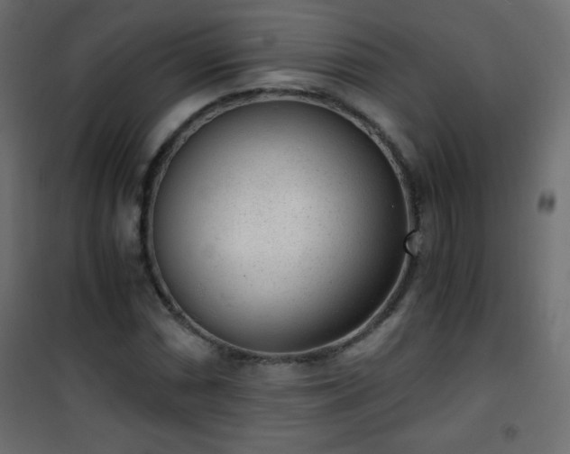 X0000101431066200807141236