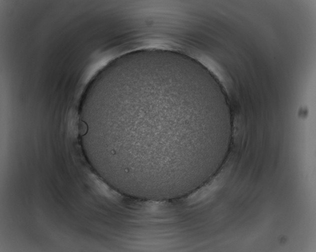 X0000101431067200807141236