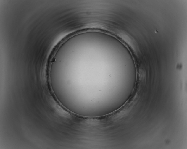 X0000101431068200807141236