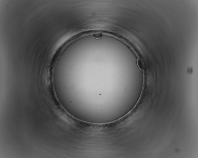 X0000101431069200807141236
