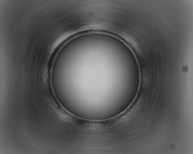 X0000101431070200807141236