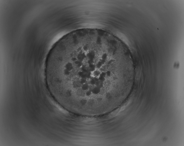 X0000101431071200807141236
