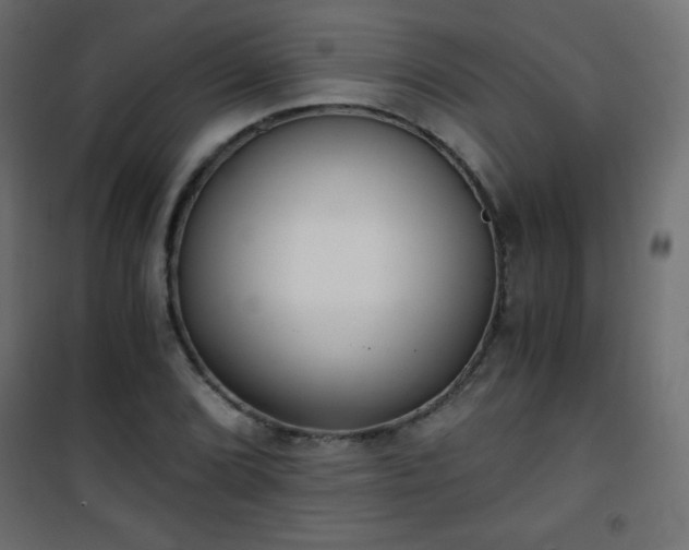 X0000101431072200807141236