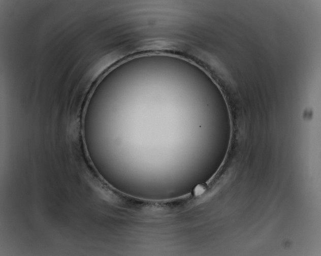 X0000101431073200807141236