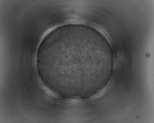 X0000101431074200807141236