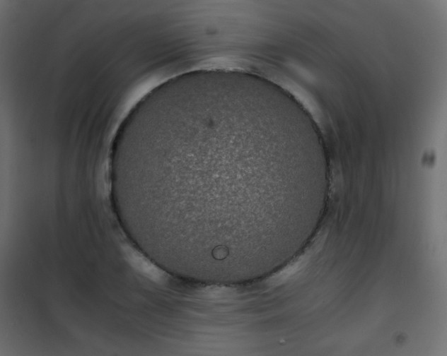 X0000101431075200807141236