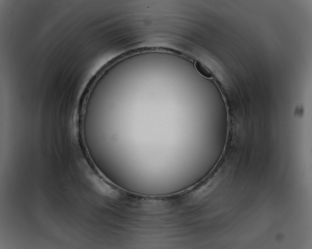 X0000101431076200807141236