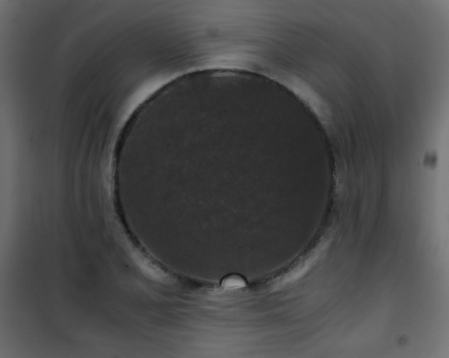 X0000101431077200807141236
