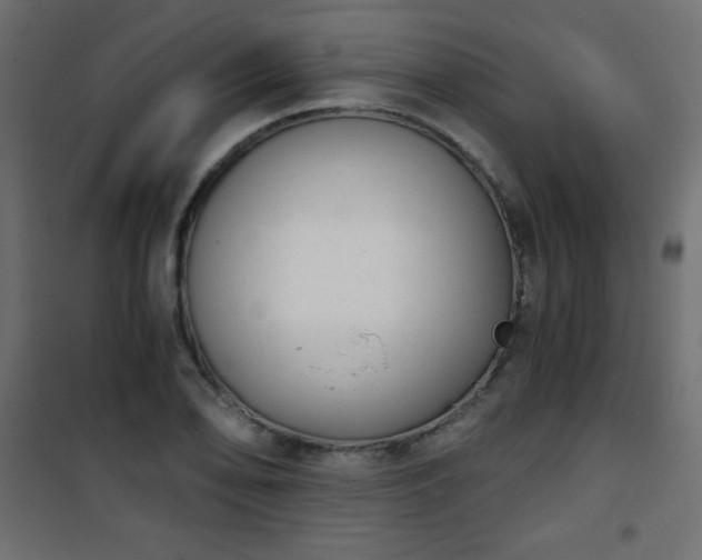 X0000101431078200807141236