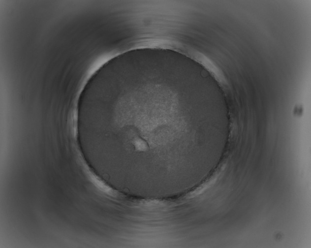 X0000101431079200807141236