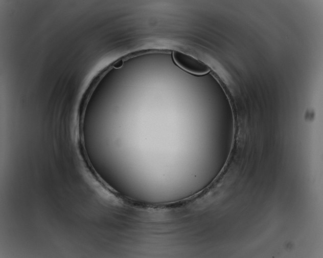 X0000101431080200807141236