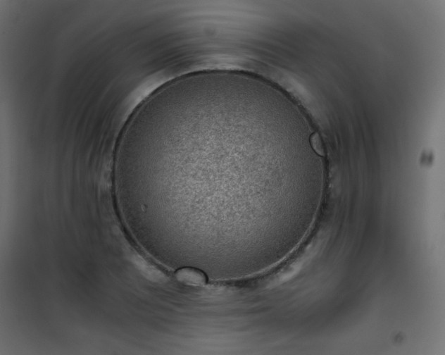 X0000101431081200807141236