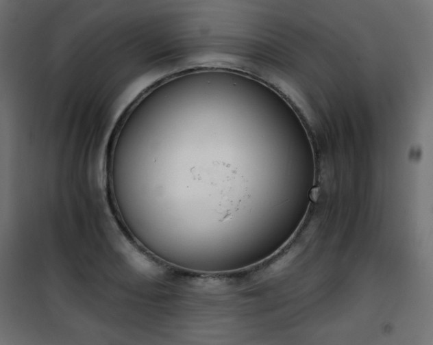 X0000101431082200807141236