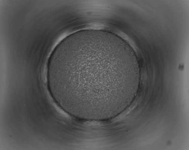 X0000101431083200807141236