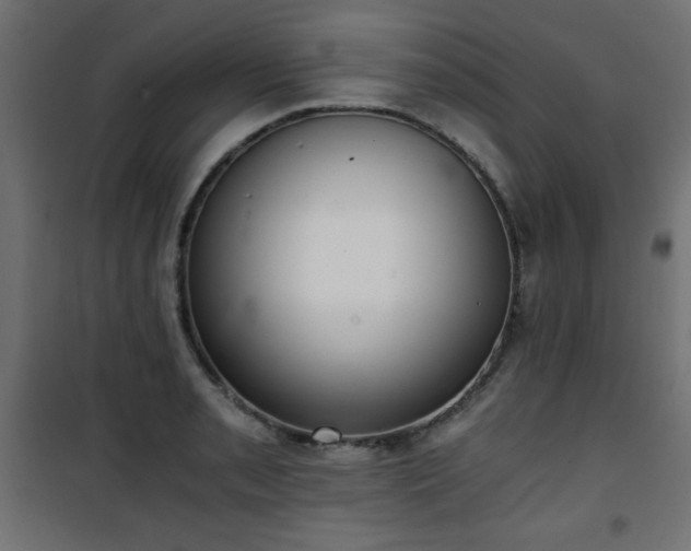 X0000101431085200807141236