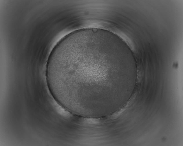 X0000101431086200807141236