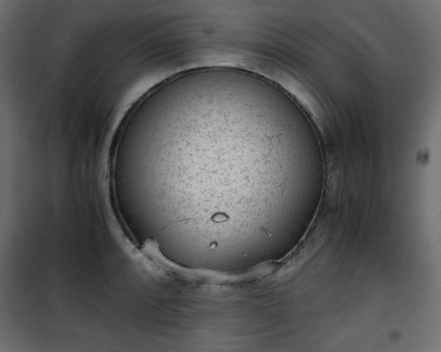 X0000101431088200807141236