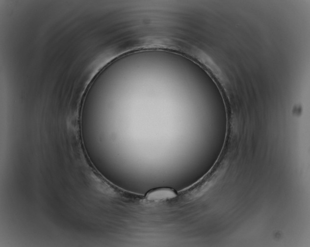 X0000101431089200807141236