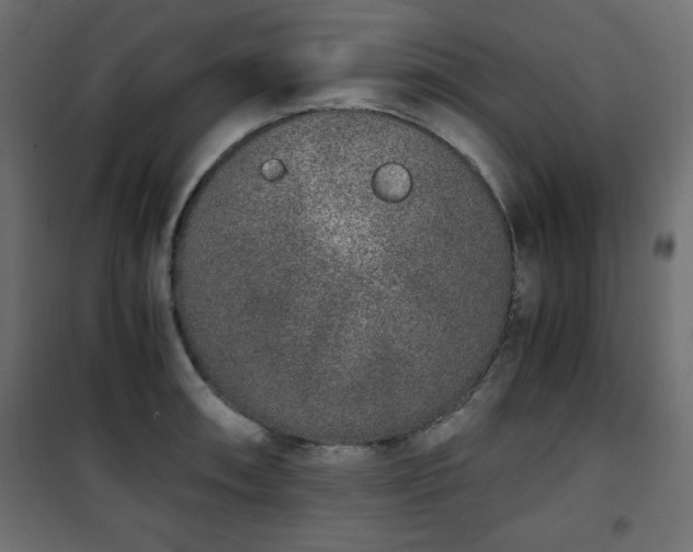 X0000101431090200807141236