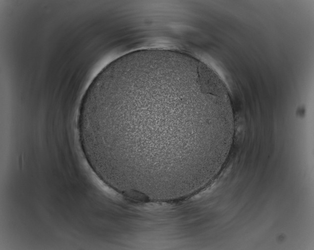 X0000101431091200807141236