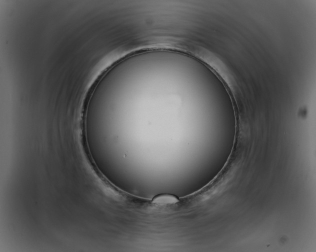 X0000101431093200807141235