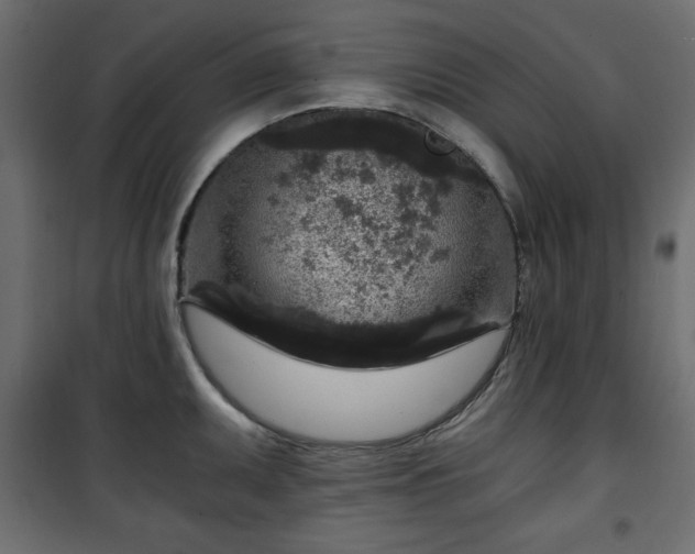 X0000101431095200807141235
