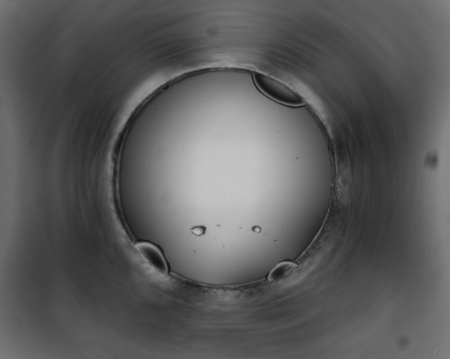 X0000101431096200807141235