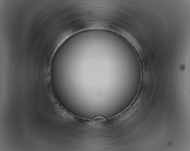 X0000101431097200807141235
