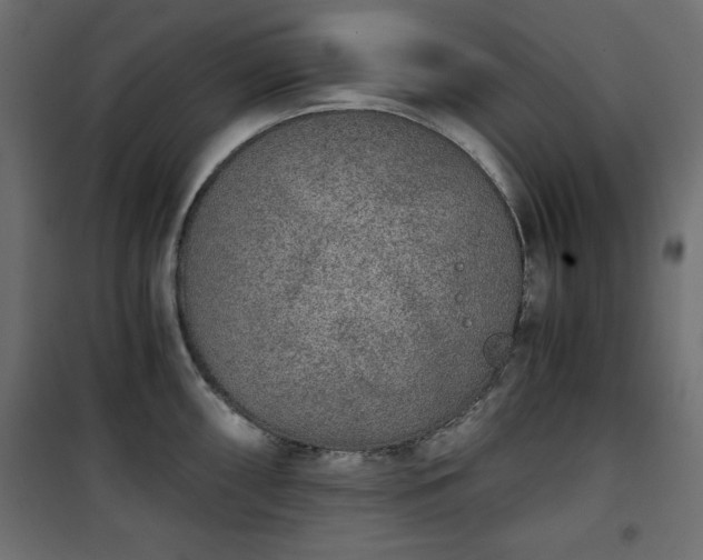 X0000101431098200807141235